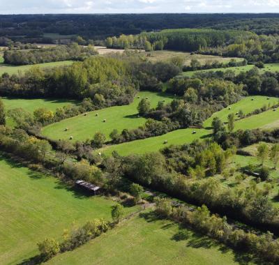 Indicateur | Évolution du linéaire de haies