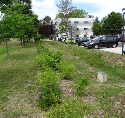 Entreprises et biodiversité