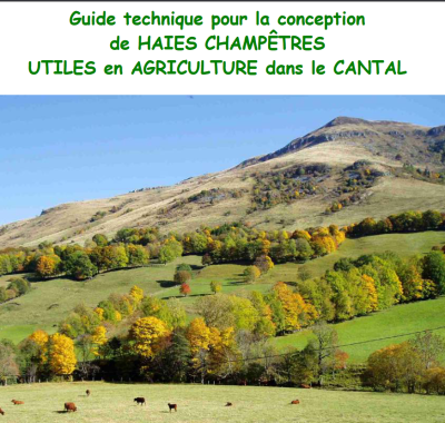 Guide technique pour la conception de haies champêtres utiles en agriculture dans le Cantal