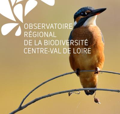 État des lieux régional de la biodiversité 2017