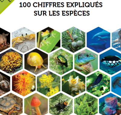 100 chiffres expliqués sur les espèces protégés