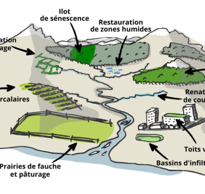 Les mesures naturelles de rétention d’eau : 10 retours d’expérience en France métropolitaine