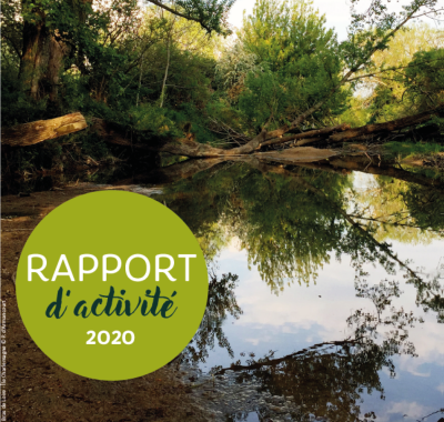 Rapport d'activité 2020