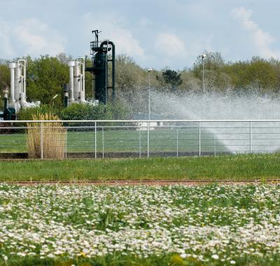 Une biodiversité surprenante sur les sites industriels de Storengy