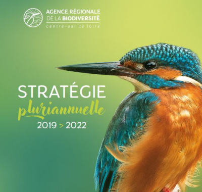 Stratégie pluriannuelle 2019-2022