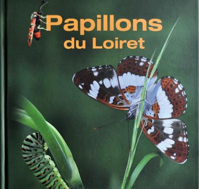 Les papillons du Loiret