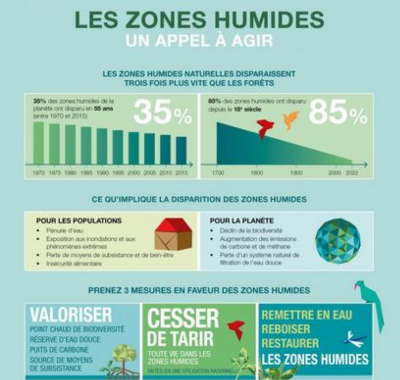 Infographie Zones humides