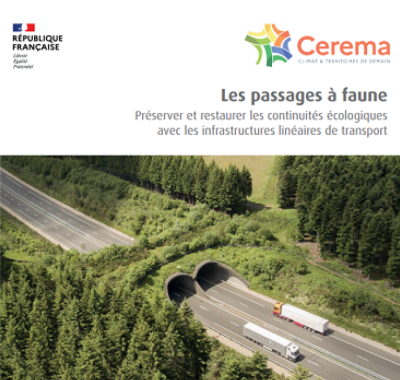 Les passages à faune : Préserver et restaurer les continuités écologiques avec les infrastructures linéaires de transport | CEREMA