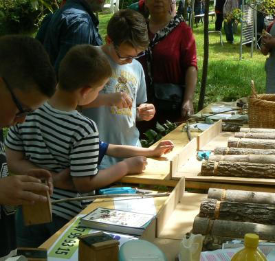 Éducation à la biodiversité, chiffres 2019