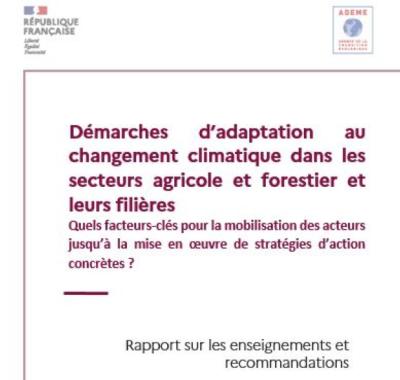 Démarches d'adaptation au changement climatique dans les secteurs agricole et forestier et leurs filières