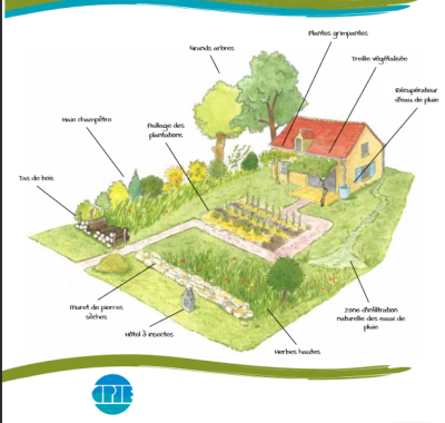 Climato : adapter les espaces extérieurs de mon habitation au changement climatique | CPIE Val de Loire