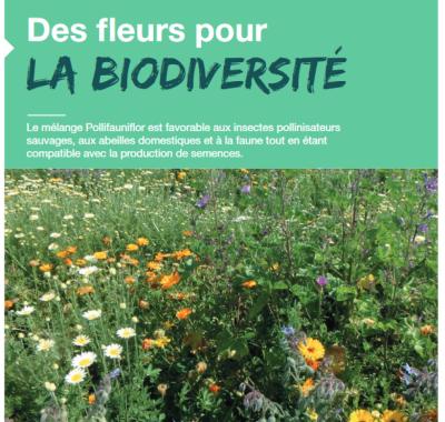 Pollifauniflor - des fleurs pour la biodiversité