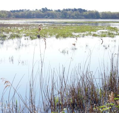 Chiffres-clés de la biodiversité en France et en Centre-Val de Loire