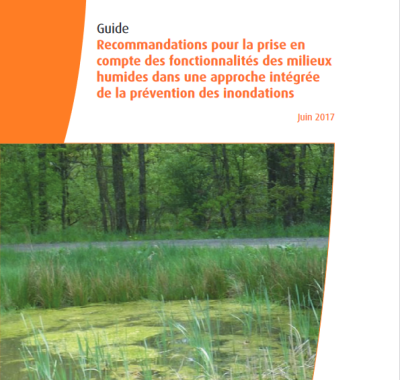 Recommandations pour la prise en compte des fonctionnalités des milieux humides dans une approche intégrée de la prévention des inondations