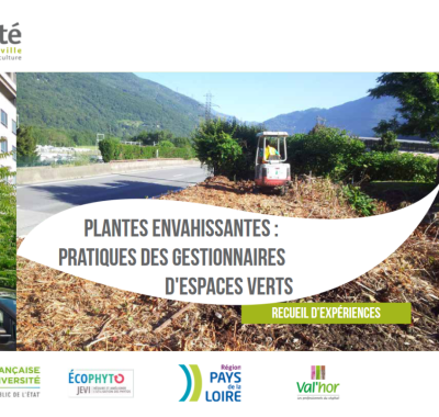 Plantes envahissantes - Pratiques des gestionnaires d'espaces verts | Plante et cité