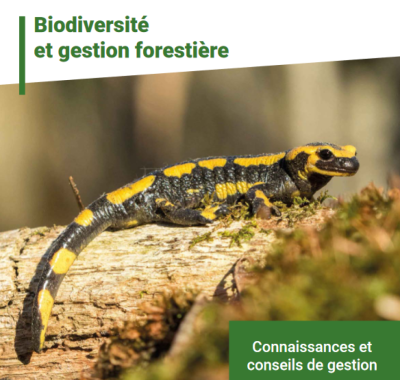Biodiversité et gestion forestière | CNPF Hauts-de-France