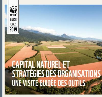 Capital naturel et stratégies des organisations : une visite guidée des outils