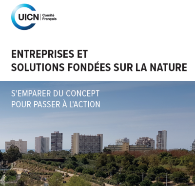 Entreprises et Solutions fondées sur la nature : s’emparer du concept pour passer à l’action