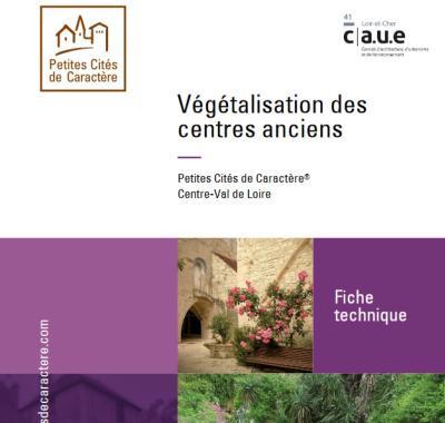 Végétalisation des centres anciens | CAUE41