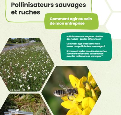 Pollinisateurs sauvages et ruches, comment agir au sein de mon entreprise | OPIE - UPGE