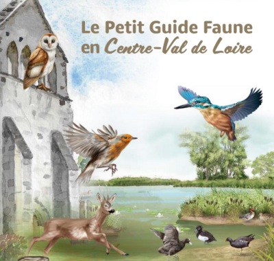 Le Petit Guide Faune en Centre-Val de Loire | Chasseurs du Centre-Val de Loire