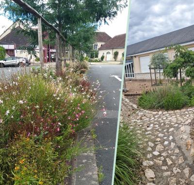 CP - Lancement de cycles thématiques pour le Biodiv'tour 