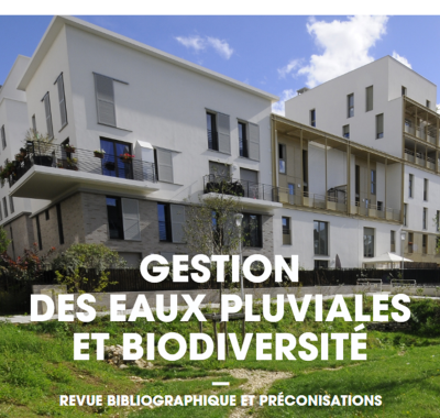 Gestion des eaux pluviales et biodiversité | ARB Île-de-France