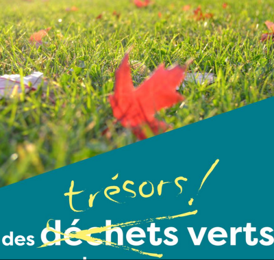 Gestion des déchets verts | Fredon France
