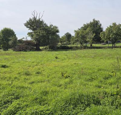 Présentation journée interpoles 2025 HAIES