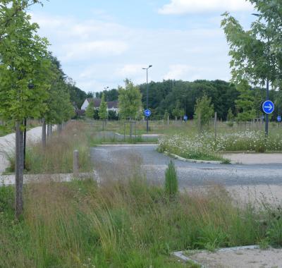 Récap' d'indicateur : consommation d'ENAF