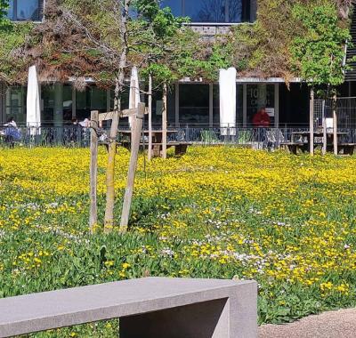 Aménager et gérer durablement un parc d'activités | ARBE Sud