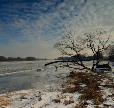 L'Observatoire à l'horizon 2026