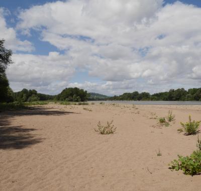 Découvrir des espèces et habitats emblématiques du Centre-Val de Loire