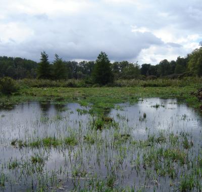  Indicateur | Gestion des milieux aquatiques et humides