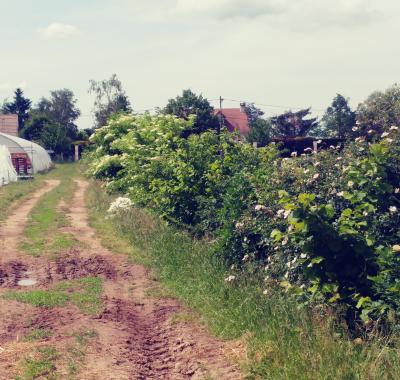 Agriculture biologique, chiffres 2014