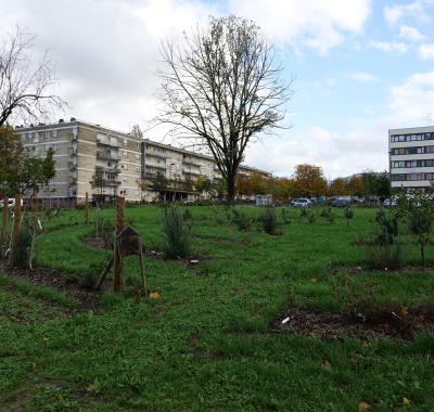 "Jardins citoyens : reconnecter les citoyens à la nature en zone urbanisée"