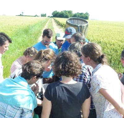 Les agriculteurs de la coopérative de Boisseaux s'engagent pour la biodiversité