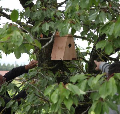 Étude et amélioration de la biodiversité dans le vignoble de l'AOC Chinon