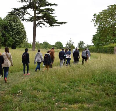 Animation "biodiversité" sur le territoire du PETR Forêt d'Orléans-Loire-Sologne 