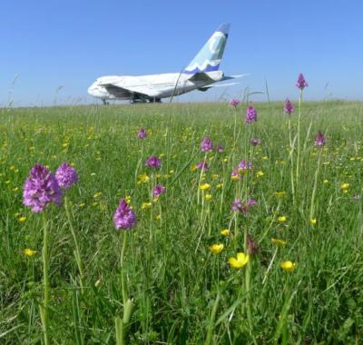 Accompagnement d'entreprises pour une gestion adaptée des sites par Indre Nature