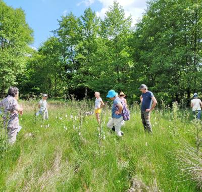 Des prairies naturelles choyées par des éleveur·se·s et des botanistes