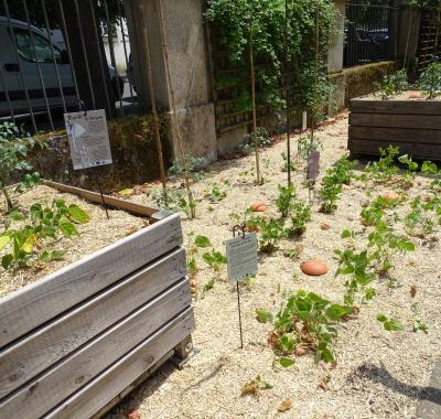 La biodiversité cultivée par les services municipaux à Tours