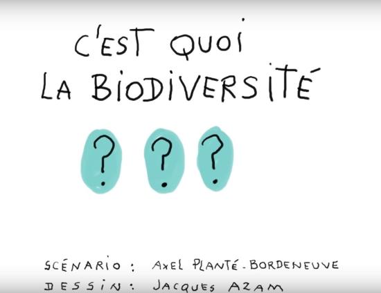 1 jour 1 question "C'est quoi la biodiversité ?"