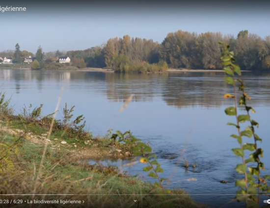 La biodiversité ligérienne | OFB