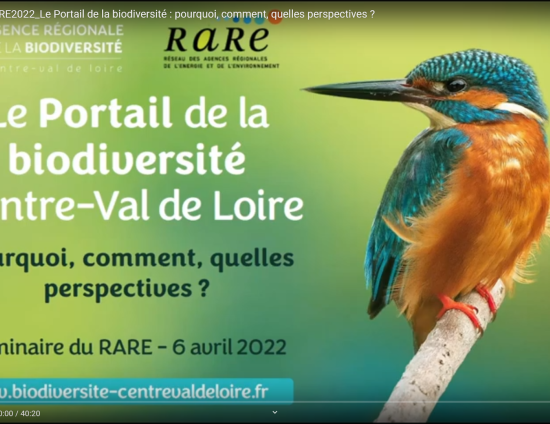 Atelier : Le Portail, démonstration et présentation - replay du 6/04/2022