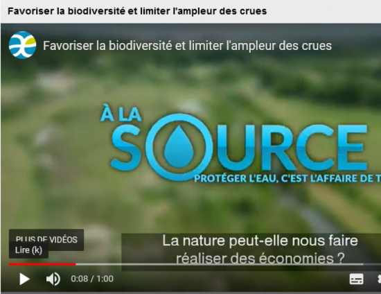 Favoriser la biodiversité et limiter l'ampleur des crues