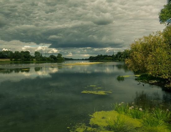 Stratégie pour les aires protégées | DREAL Centre-Val de Loire