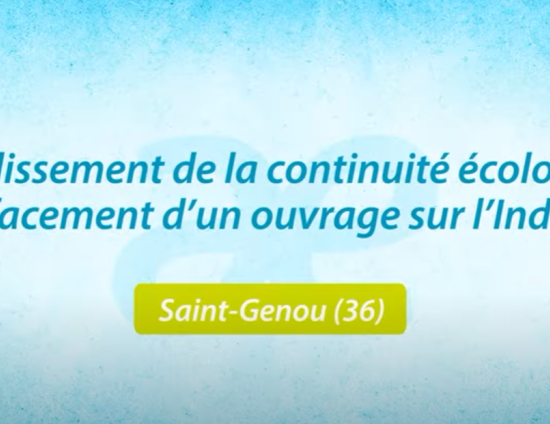 Restauration de la continuité écologique de la rivière Indre