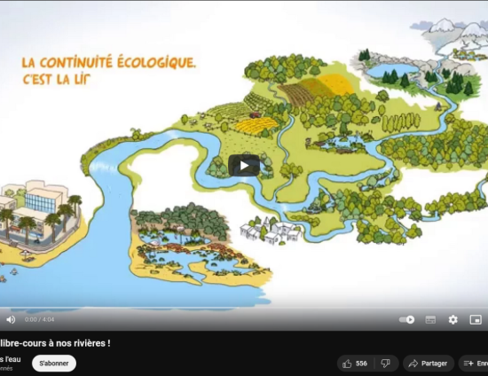 Redonnons libre-cours à nos rivières ! | agence de l'eau Rhône Méditerranée Corse 