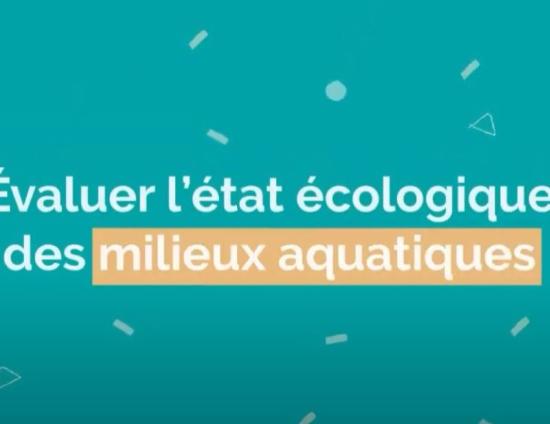 Evaluer l'état écologique des milieux aquatiques